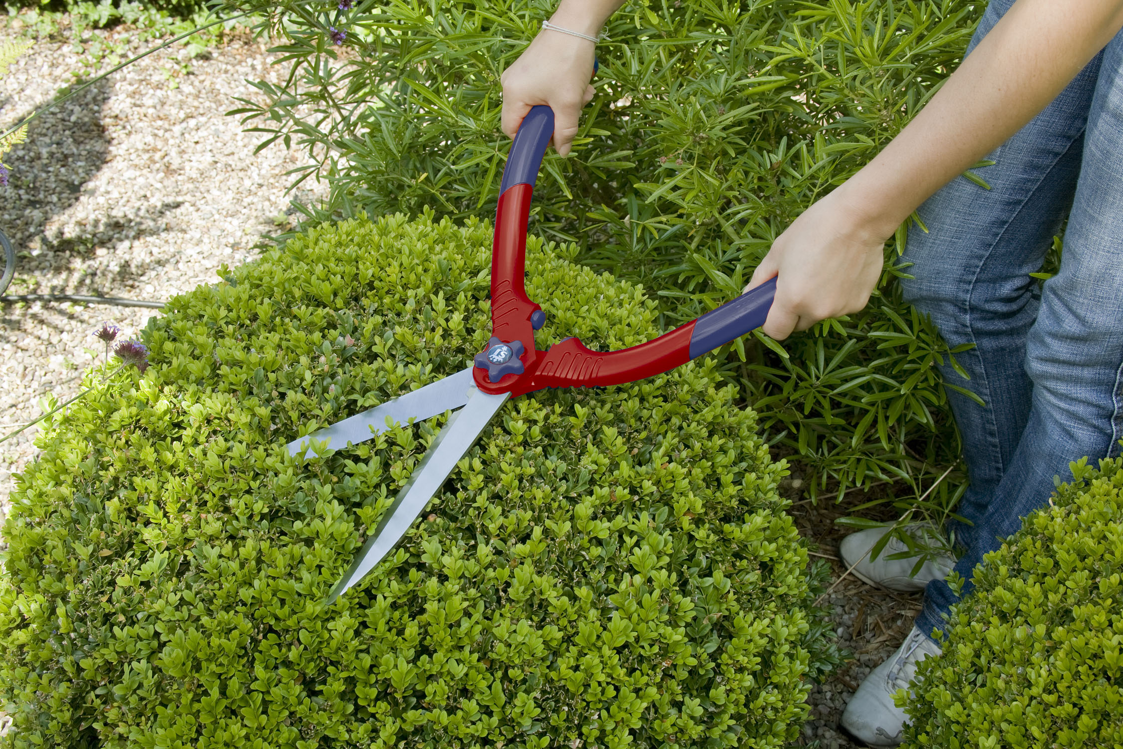 Razorsharp Advance Wishbone Handle Hand Shears Spear and Jackson